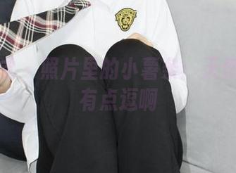 小众视觉 – 照片里的小薯条：天使的形象有点逗啊